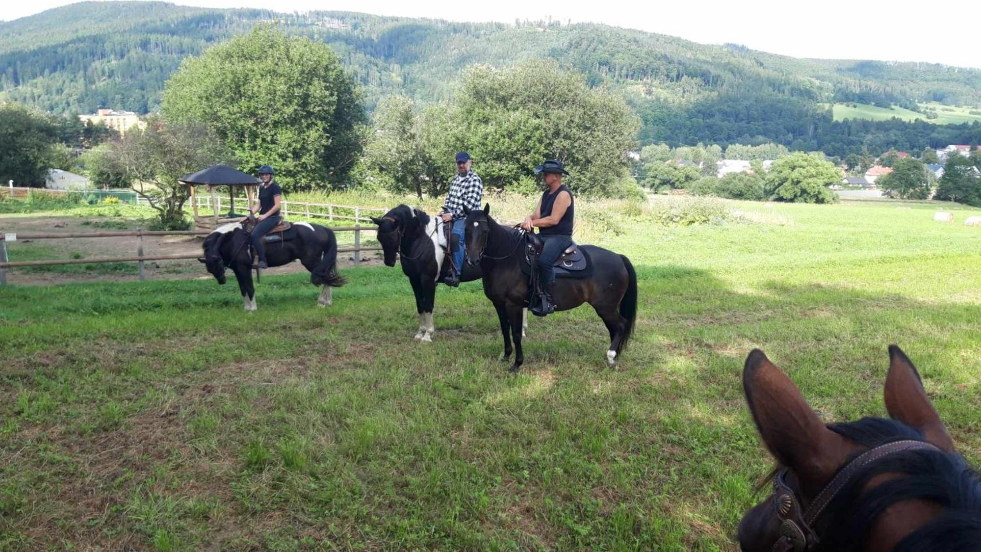 Penzion U Hradilu Vrbno pod Pradědem Dış mekan fotoğraf
